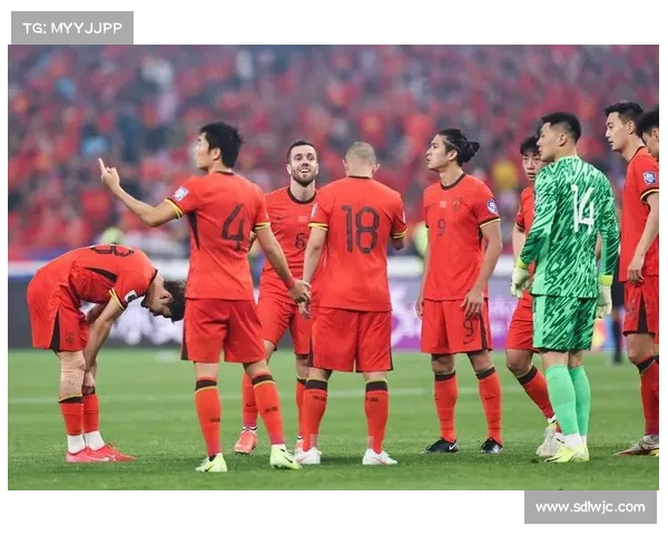 热血与钱包齐飞:国足生死战背后的球迷坚守 热血与钱包齐飞:国足生死战背后的球迷坚守