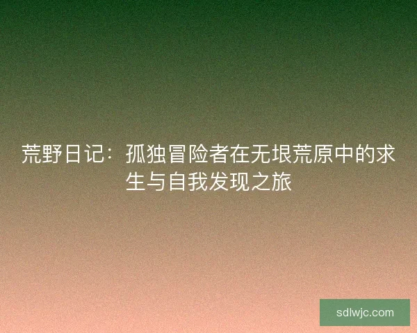 荒野日记：孤独冒险者在无垠荒原中的求生与自我发现之旅