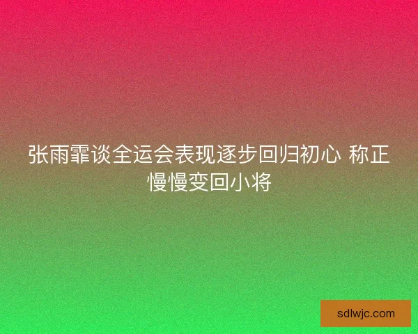 张雨霏谈全运会表现逐步回归初心 称正慢慢变回小将