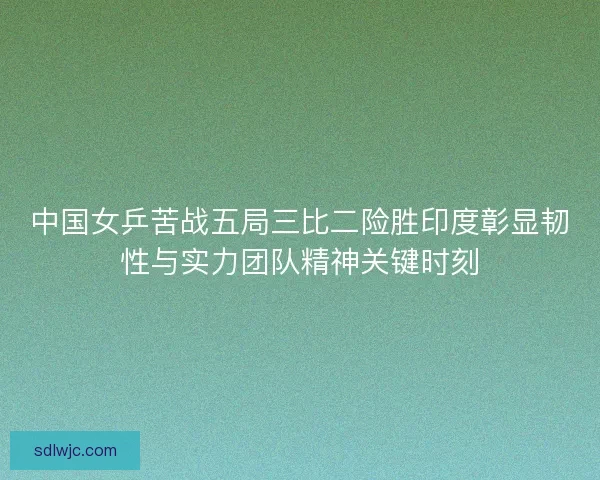 中国女乒苦战五局三比二险胜印度彰显韧性与实力团队精神关键时刻